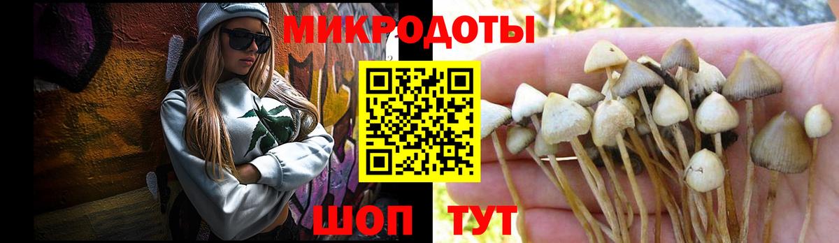 Псилоцибиновые грибы Cubensis Сатка